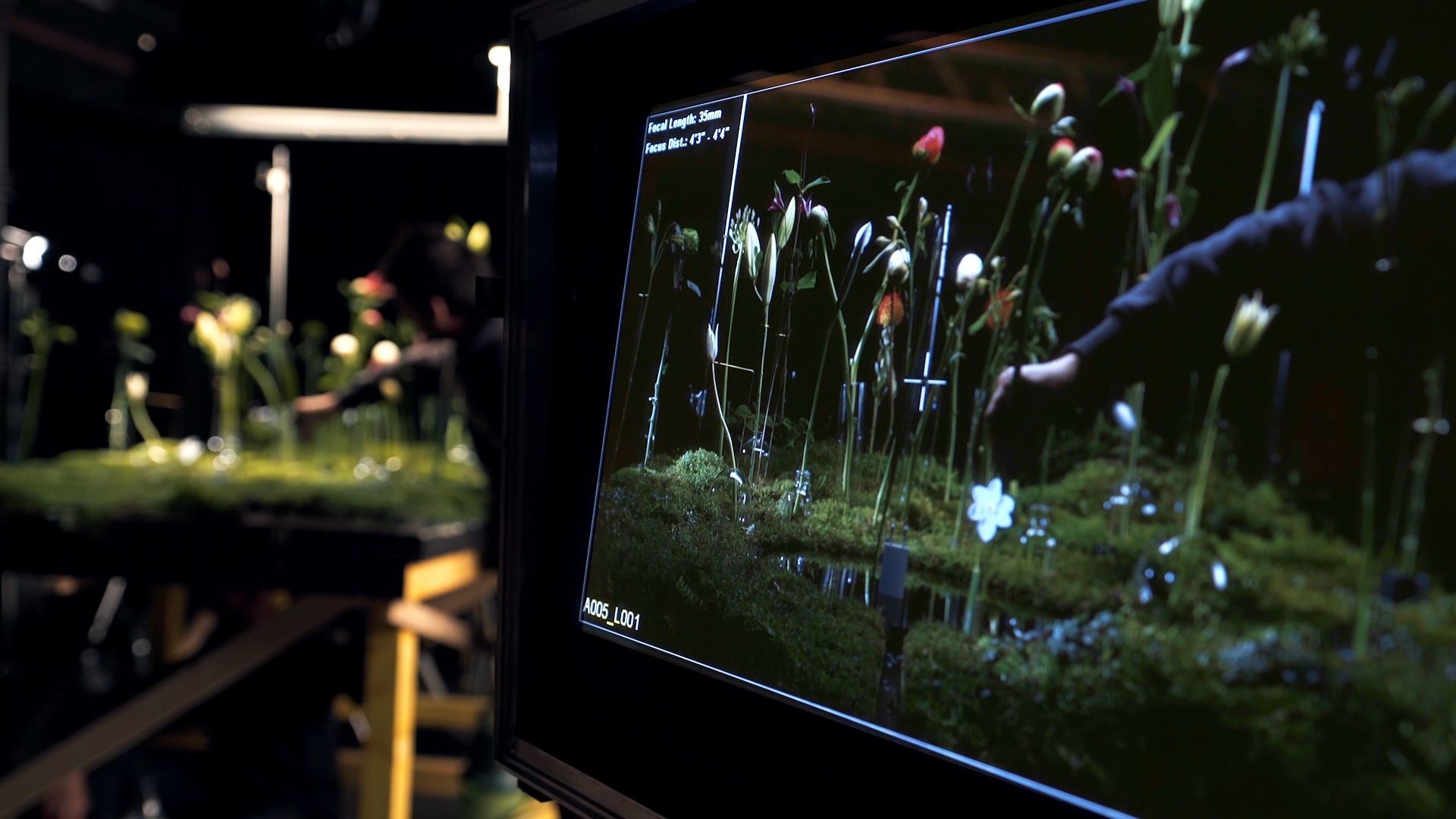 SNCF Flowers 11